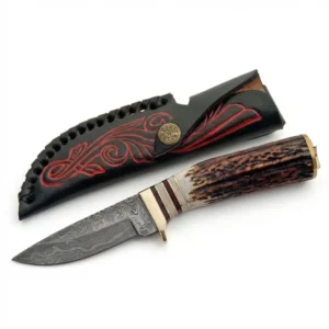 Black leather sheath with red tooling containing a stag handle Damascus Steel Deer Skinning Knife