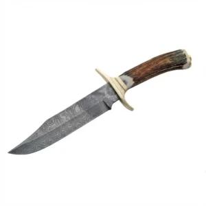 Full profile of stag handle fixed blade knife with brass guard