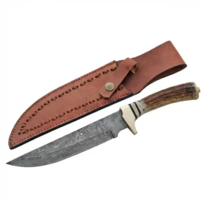 Full view of stag handle damascus hunting knife next to leather sheath.