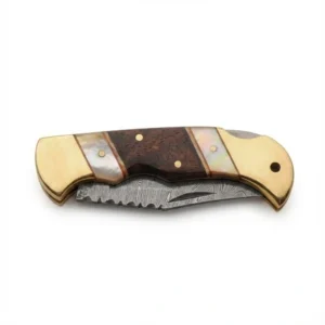 Closed gentleman's knife showing brass bolsters and pearl inlay