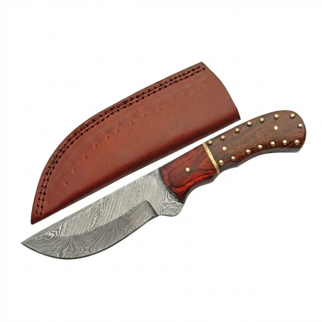 damascus-skinner-hunting-knife-wood-handle Studded Damascus Skinner hunting knife with Damascus steel blade and leather sheath.